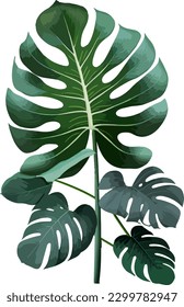 2.ª ilustración plana de fondo blanco de una sola planta tropical