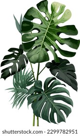 2d flat single tropical plant white background illustration