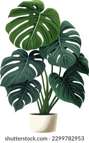 2d flat single tropical plant white background illustration