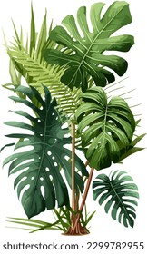 2d flat single tropical plant white background illustration