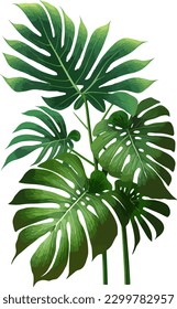 2.ª ilustración plana de fondo blanco de una sola planta tropical