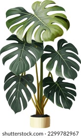 2.ª ilustración plana de fondo blanco de una sola planta tropical