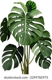 2d flat single tropical plant white background illustration