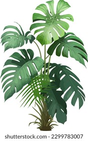 2d flat single tropical plant white background illustration