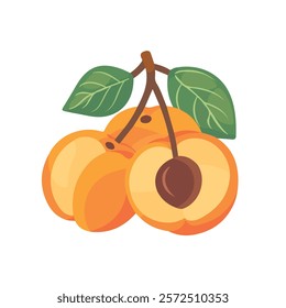 2D flat vector illustration apricot icon isolated on a white background.