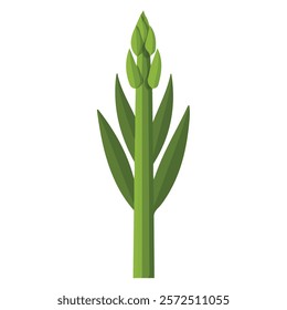 2D flat vector illustration asparagus spear icon isolated on a white background.