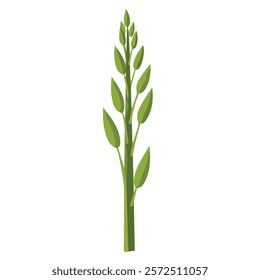 2D flat vector illustration asparagus spear icon isolated on a white background.