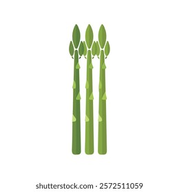 2D flat vector illustration asparagus spear icon isolated on a white background.