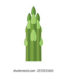 2D flat vector illustration asparagus spear icon isolated on a white background.