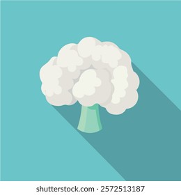 2D flat vector illustration cauliflower icon isolated on a white background.