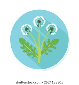 2D flat vector illustration dandelion greens icon isolated on a white background.
