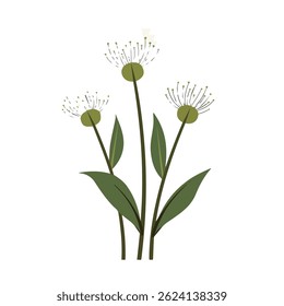 2D flat vector illustration dandelion greens icon isolated on a white background.