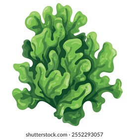 2D vetor plano ilustração ícone alga verde isolado em um fundo branco.