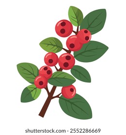 2D flat vector illustration holly berry icon isolated on a white background.