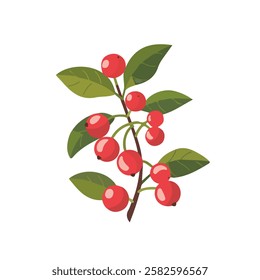 2D flat vector illustration holly berry icon isolated on a white background.

