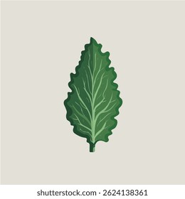2D flat vector illustration lettuce icon isolated on a white background.