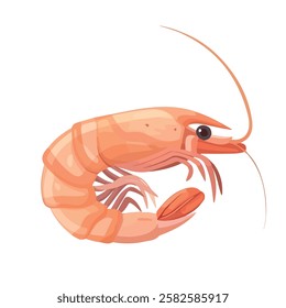 2D flat vector illustration shrimp icon isolated on a white background.

