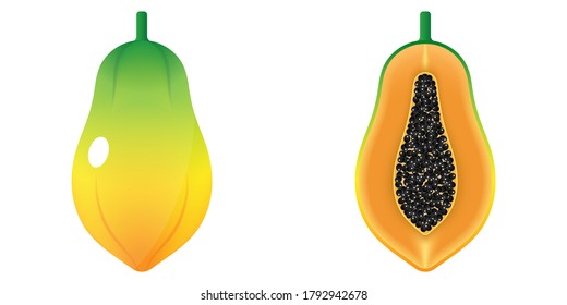 Vector De Dibujo De Frutas 2D - Vista Delantera De Papaya Fresca Y Vista Interior Sobre Fondo Blanco