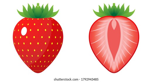 2D Fruit Cartoon Vector - Fresh Ripe Strawberry Fruit Front View And Inside Cut In Half Isolated On White Background