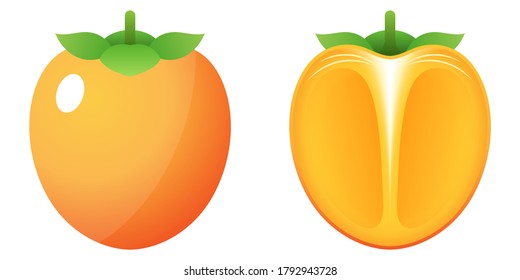 2D Fruit Cartoon Vector - Fresh Ripe Hachiya Persimmon Fruit Front View And Inside Cut In Half Isolated On White Background