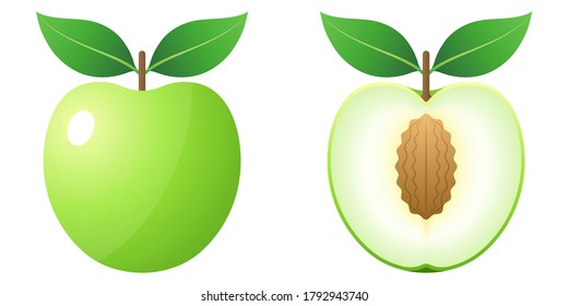 2D Fruit Cartoon Vector - Fresh Green Jujube (Monkey Apple) Fruit Front View And Inside View Cut In Half Isolated On White Background
