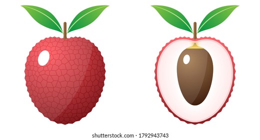 2D Fruit Cartoon Vector - Fresh Ripe Lychee Fruit Front View And Inside View Cut In Half Isolated On White Background