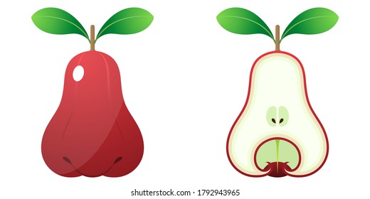 Vector De Dibujo De Frutas En 2D - Vista Primaria De La Manzana (Fruta De La Campana) Fresca Y Vista Interior Sobre Fondo Blanco