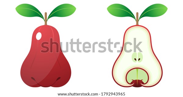 2d Fruit Cartoon Vector Fresh Ripe Stock Vector Royalty Free