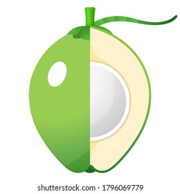 2D Fruit Vector - Fresh Coconut Fruit And Cut In Half Isolated On White Background