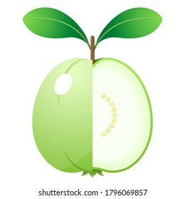 2D Fruit Vector - Fresh Guava Fruit And Cut In Half Isolated On White Background