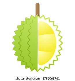 Vector De Frutas 2D - Fruta Duriosa Fresca Y Limpia En Medio Aislado En Fondo Blanco