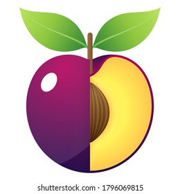2D Fruit Vector - Fresh Ripe Purple Plum Fruit And Cut In Half Isolated On White Background