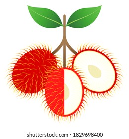 2D Fruit Vector - Fresh Ripe Passion Fruit And Cut In Half Isolated On White Background