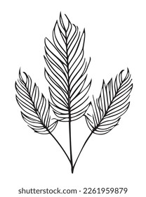 2D graphics of leaf images in outline style. Tropical tree leaves outlined in black and white. Natural and fresh. Has attractive fronds and leaf veins
