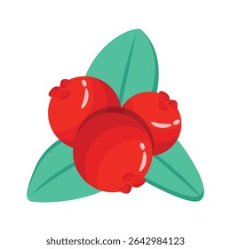 A 2d icon showing mistletoes fruit with leaves