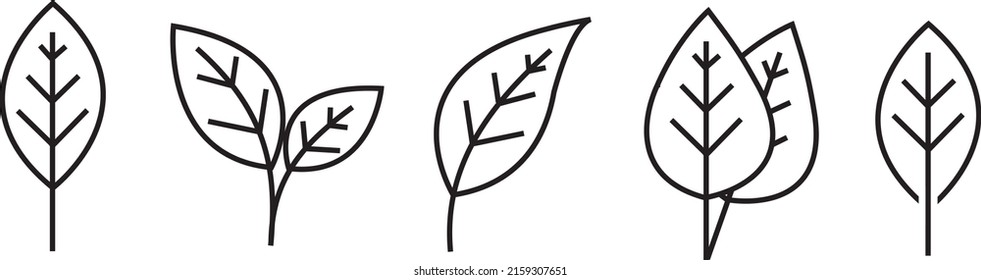 Ilustración en 2D de hojas de forma diferente sobre un fondo blanco aislado