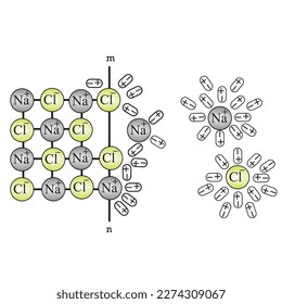 2D illustration of the dissolution scheme of sodium chloride in water