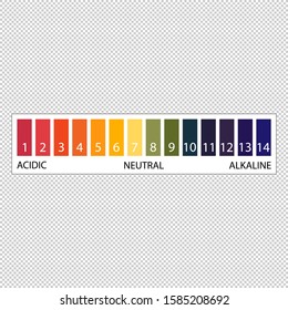 2D Laboratory Equipment Cartoon Vector - Lab PH Range Scale Titration Test Result From Acidic To Alkaline Isolated On Transparent Background
