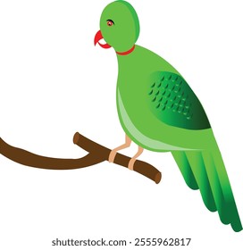 2d Parrot Design  Best For Animation
