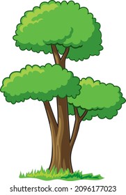 2d tree illustration - tree cartoon, cartoon tree illustration vector