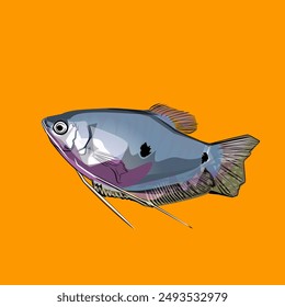 2D vector design of Trichogaster fish with attractive colors for children's book covers, t-shirt logos and others