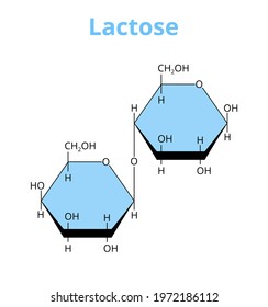 2D vector molecular structure of the disaccharide lactose, sugar composed of galactose and glucose. Milk sugar found in milk. The structural formula of the lactose is isolated on a white background. svg