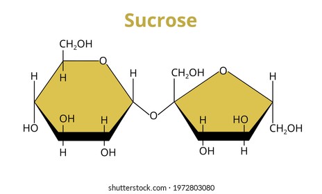 2D vector molecular structure of the disaccharide sucrose, common sugar. Carbohydrate composed of glucose and fructose. The structural formula of the saccharose or table sugar is isolated on white.	