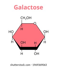 2D vector molecular structure of the monosaccharide sugar galactose that forms a lactose molecule. Milk sugar. The structural formula of d-galactose, β-d-galactopyranose isolated on white background.