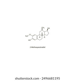 2-Methoxyoestradiol flat skeletal molecular structure Antiestrogen drug used in breast cancer treatment. Vector illustration scientific diagram.