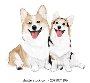 2puppies smiling cute corgi dog vector art