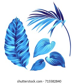 3 amazing vector palm leaves. beautiful elegant natural motifs. can be used for textile, stickers, websites. Vector illustration.
