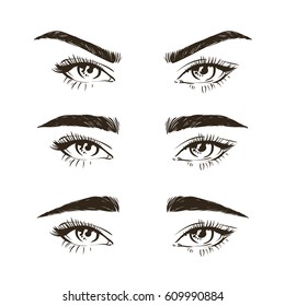 3 basic eyebrow shape types vector illustration. Fashion female brow