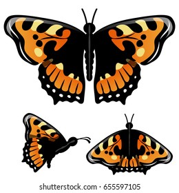 3 Beautiful butterfly vector set , common Monarch black orange yellow wing. Isolated on white