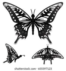 3 Beautiful butterfly vector set , openwork black and white wings. Isolated on white